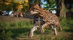 Planet Zoo: Americas Animal Pack (Steam Gift Россия)