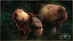 Last Epoch - Woven Traveler Supporter Pack Steam Gift