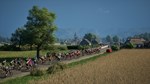 Pro Cycling Manager 25 (Steam Gift Россия)