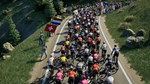 Pro Cycling Manager 25 (Steam Gift Россия)