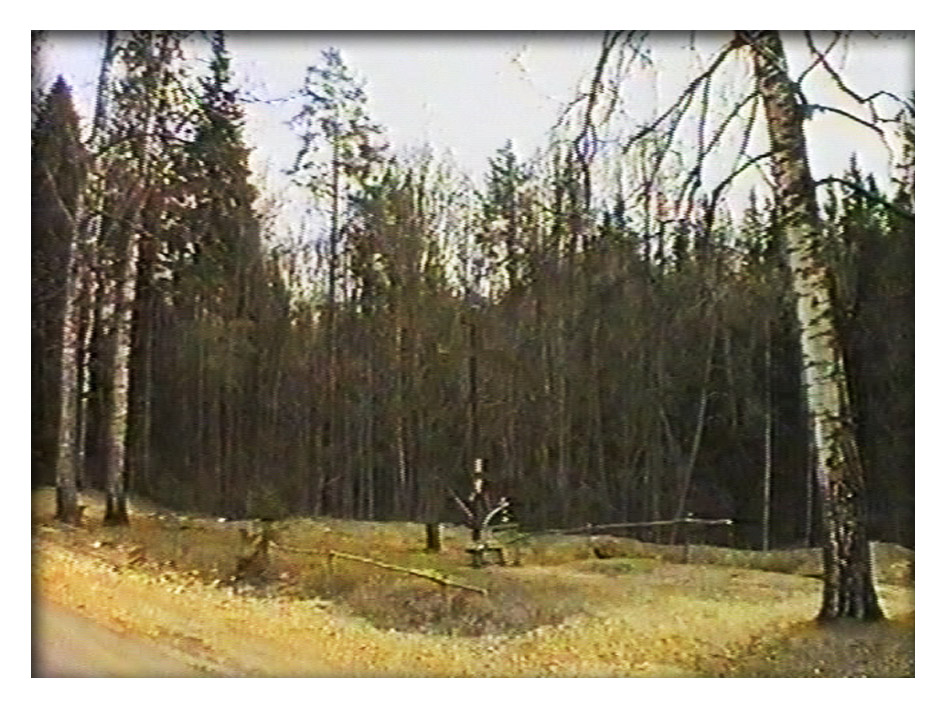 Киноматериал DS008
