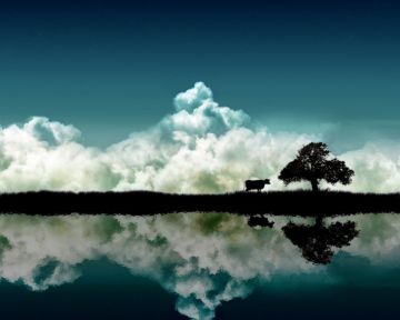 Dreams Of A Fantasy World