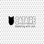 * CATAIRE * EPIC GAMES * (PC)