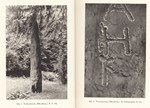 Аненербе, сборники по древней истории и археологии