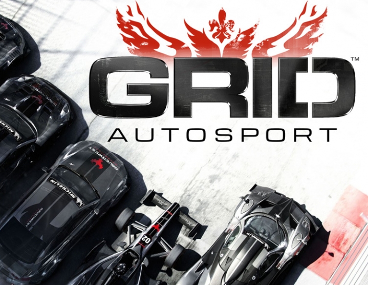 Grid Autosport (steam key) -- RU
