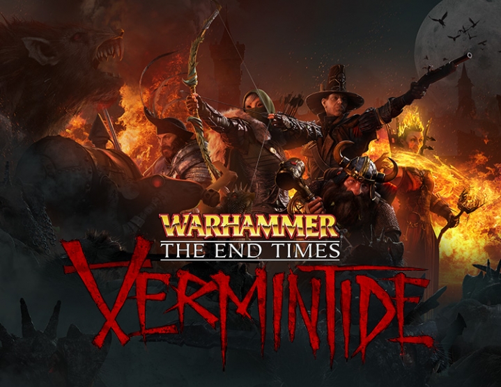 Warhammer End Times  Vermintide (steam key) -- RU
