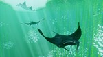 ABZU (Steam key)