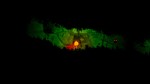 Grimind (steam key)