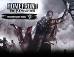 Homefront Revolution Freedom Fighter Steam