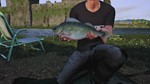 Euro Fishing Ultimate Edition (Steam key)