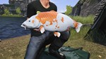 Euro Fishing Ultimate Edition (Steam key)