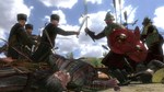 Mount Blade With Fire and Sword (steam key) - irongamers.ru