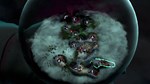 The Serpent Rogue (steam key)