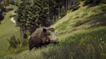 Way of the Hunter (steam key)
