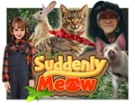 Suddenly Meow (activation on itch.io)