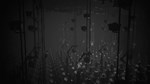 White Shadows (Steam key) == RU