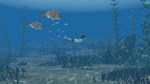 Storm Boy (steam key)