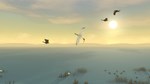 Storm Boy (steam key)