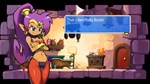Shantae and the Pirates Curse (steam key)