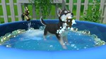 Little Friends Puppy Island PC -- KEY
