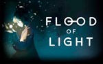 Flood of Light (steam key)