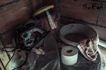 The Fan (steam key)