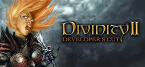 Divinity II: Developer´s Cut - Ключ Активации Steam