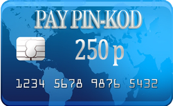 Цифровой пин-код 250