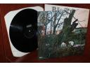 виниловые пластинки pink floyd,black sabbath,Metallica