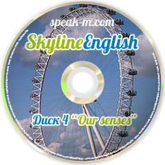 Учебный курс "Skyline English" #4 "Our senses"