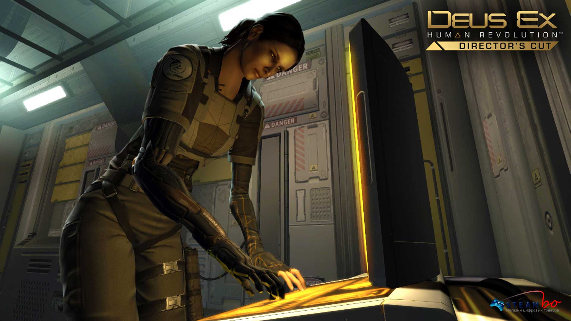 Включи ex. Deus ex: Human Revolution. Deus ex Human Revolution девушки. Deus ex Human Revolution Director s Cut. Deus ex: Human 2013.