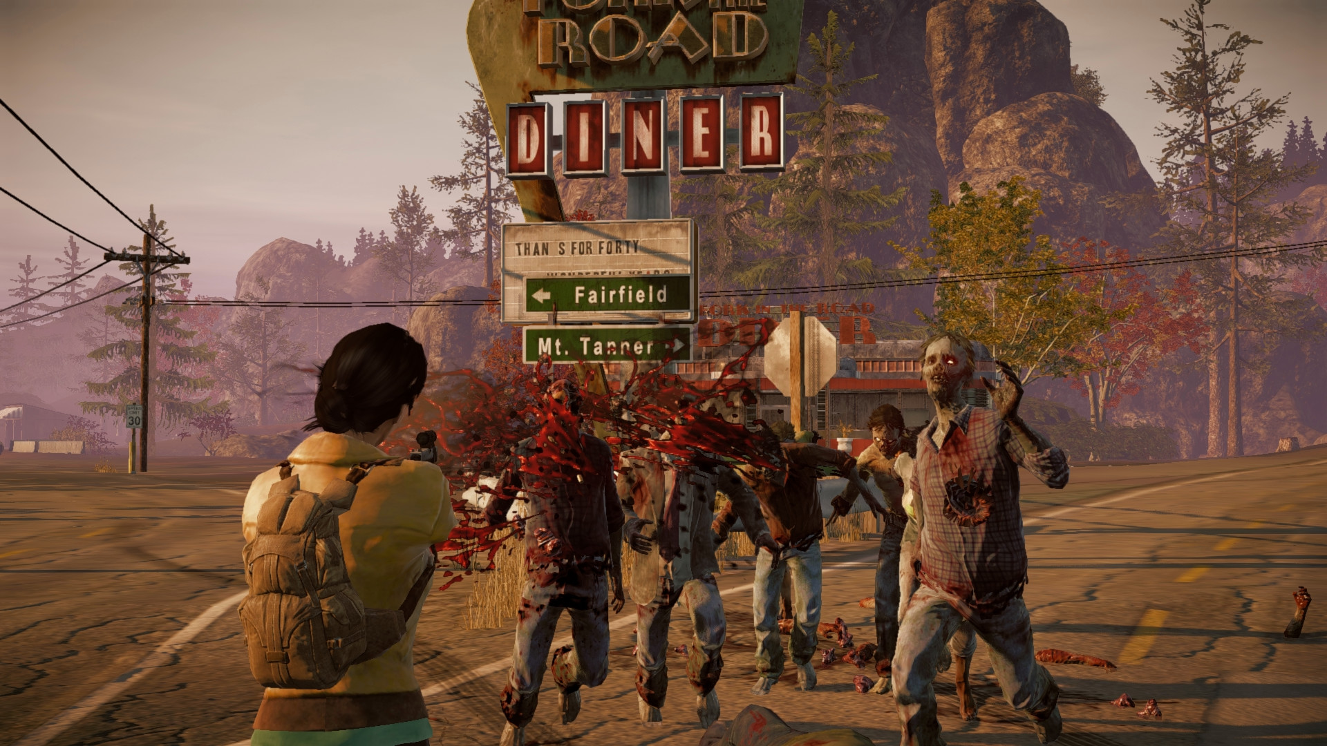 State of decay требует стим фото 51