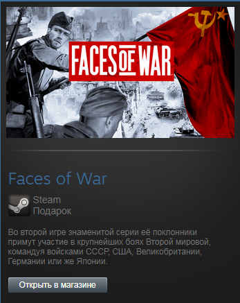 Faces of War (Steam Gift Region Free / ROW)
