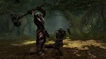 Lord of the Rings War in the North (Steam Gift RegFree)