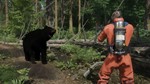 Miscreated (Steam Gift Region Free / ROW /Передаваемый)