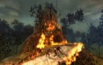 The Witcher: Enhanced Edition (Steam Gift Region Free)