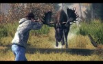 Cabela´s Big Game Hunter Pro Hunts (Steam Gift RegFree)
