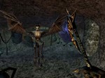 Elder Scrolls III Morrowind GOTY (Steam Gift RegFree)