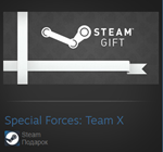 Special Forces: Team X (Steam Gift Region Free / ROW)