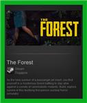 The Forest Steam Gift/ RoW / Region Free