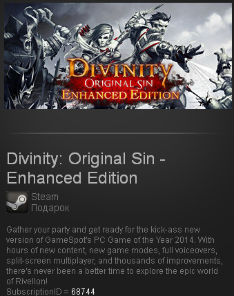 Divinity Original Sin + Enhanced Edition STEAM free/ROW