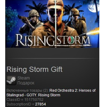 Rising Storm GOTY (Steam Gift Reg Free)
