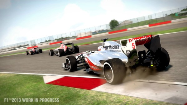 F1 2013 (Steam Gift Region Free) (ROW)