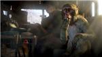 Far Cry® 4 Steam Gift - Region Free (ROW) - irongamers.ru