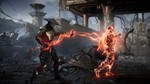 Mortal Kombat 11 (Steam) RU/CIS
