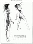 Drawing nudes. Textbook. Author Andrew Loomis
