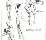 Drawing nudes. Textbook. Author Andrew Loomis