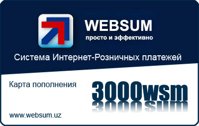 WebSUM 3000wsm - 3000сум