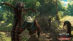 The Witcher 3: Wild Hunt GOTY (GOG) Global +🎁 - irongamers.ru