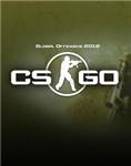Counter-Strike Global Offensive+бонус